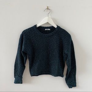 Zara shimmery glittery sweater